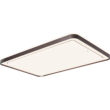 松下（Panasonic）led吸顶灯客厅灯卧室灯全光谱APP智能适悦光秋海系列 【全光谱】116W-HHXSX070