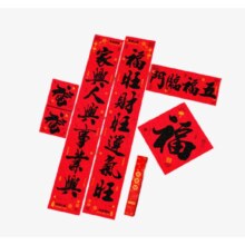 少年伴 2025蛇年五福临门春节福字对联套装  名家书法黑字体 8件套 5311-A