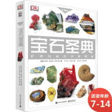 DK宝石圣典 小猛犸童书(精装)