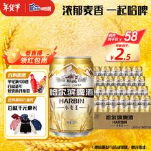 今日必买：哈尔滨啤酒 小麦王啤酒 330ml*6听*4箱