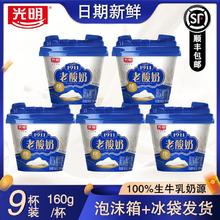 光明 老酸奶1911酸牛奶160g*9杯生牛乳奶源营养早餐奶