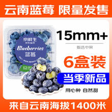 限移动端：Mr.Seafood 京鲜生 云南蓝莓 6盒 约125g/盒 15mm+ 新鲜水果