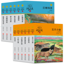 动物小说大王沈石溪品藏书系新版（橙蓝特辑套装共12册）儿童文学课外读物 课外阅读 阅读 课外书寒假阅读寒假课外书课外寒假自主阅读假期读物省钱卡