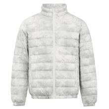 百亿补贴：雪中飞 官方正品年新款秋季立领轻薄短款保暖男款羽绒服反季甩卖