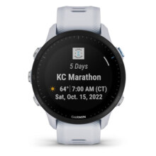 Garmin 佳明  Forerunner955 智能GPS跑步手表 长续航 内置彩色显示屏 专为铁人三项运动员设计 白石色
