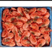 PLUS会员：鲜拔头筹 海藻头北极甜虾 4斤礼盒装
