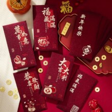 2025蛇年新年红包高档春节利是封  6个