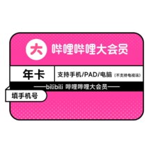 B站大会员 哔哩哔哩会员12个月