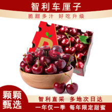 悠轶车厘子智利进口大樱桃 2.5kg 特级果王4JJJJ级 单果32-34mm