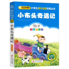 小布头奇遇记 儿童文学 注音版 一二三年级小学生课外阅读经典丛书 小书虫阅读系列