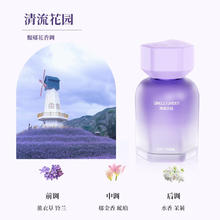 塔罗 汽车香氛 清流花园 薰草香 1瓶
