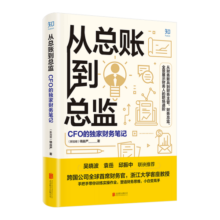 从总账到总监：CFO的独家财务笔记——财会人的保姆级教科书！职场上升路，就读这本书！一书搞定：财务思维塑造、财务实操训练、职业道路规划、上升路径打通。