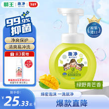 LION 狮王 趣净儿童泡沫抑菌洗手液绿野青芒全家便携式洗手液250ml