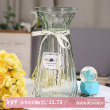 盛世泰堡 玻璃花瓶 插花瓶 干花容器 透明色 22cm
