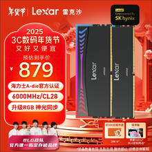 雷克沙 Ares战神之翼 台式机内存条 DDR5 6000MHz 32GB 16G*2套条 黑色
