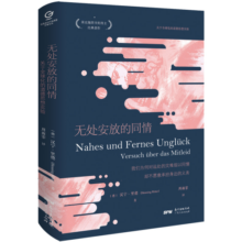 万有引力书系 无处安放的同情：关于全球化的道德思想实验