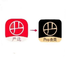 YANXUAN 网易严选 pro会员年卡12个月
