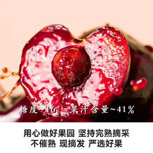 庾丰 智利进口车厘子 净重 5斤 JJ级原箱礼盒