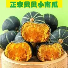 正宗山东贝贝南瓜粉糯香甜板栗味小南瓜宝宝辅食营养丰富