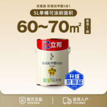 立邦乳胶漆白漆室内涂料墙面漆内墙乳胶漆抗甲醛5合1油漆涂料5L小桶