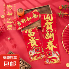 春节对联家用2025蛇年大门装饰春联 铜版鱼金字 1.1m