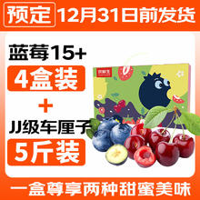 限移动端、京东百亿补贴：京鲜生 Mr.Seafood 20点：京鲜生云南蓝莓15mm4盒装125g/盒+JJ级车厘子5斤礼盒