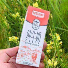 京北乳业 纯牛奶 6.4g蛋白/盒 整箱 1箱（200ml*12盒） *2件