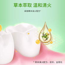 冷酸灵 牙膏清火抗敏感合一套装580g*1套清洁牙齿呵护口腔清新口气