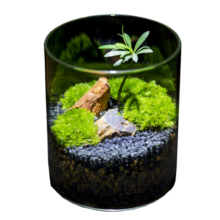 丘辰生命之树苔藓微景观生态瓶办公桌面植物造景观绿植摆件小盆栽礼物 小丘山 微景观