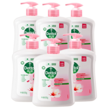 滴露（Dettol）抑菌洗手液滋润500g*6 家庭装儿童消毒无酒精温和护手
