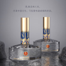 五粮液仙林生态 官方授权 优级酒 52度 500mL 2瓶 华位品鉴礼盒酒