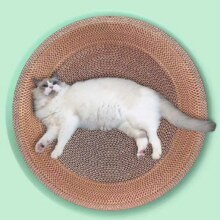 猫抓板磨爪猫窝一体耐磨不掉屑圆形小号