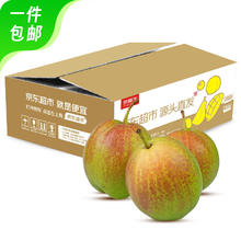 Mr.Seafood 京鲜生 库尔勒香梨 净重3斤 单果100-120g 生鲜水果 源头直发