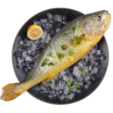 海名威 冷冻宁德黄花鱼600g/条 大黄鱼 深海鱼 生鲜鱼类 海鲜水产 年货