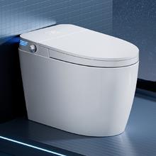 限移动端、京东百亿补贴：SKJ 水可节 S601 智能马桶 旗舰版