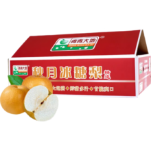 plus会员：京鲜生 青青大地莱阳羊脂秋月梨4.5斤 6-9粒