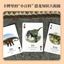 6盒恐龙王国扑克牌儿童益智游戏卡