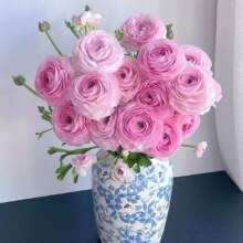 plus会员、京东百亿补贴:京东鲜花洋牡丹20枝鲜花