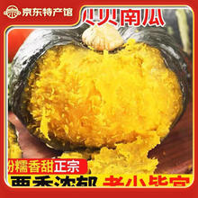 金百粟 JINBAISU 金百粟 国产贝贝南瓜 4.5斤