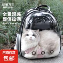 1 猫包外出便携包太空舱双肩背包猫书包大容量猫咪宠物用品应激出行 灰色 无规格