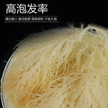 桑村刘大姐 龙须菜500克新鲜凉拌菜半干货石花菜新鲜特级海藻菜鹿角