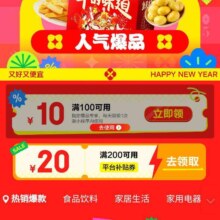 促销活动：京东 爆款钜惠 限时抢购 领取100减10/200减20平台通用补贴优惠券