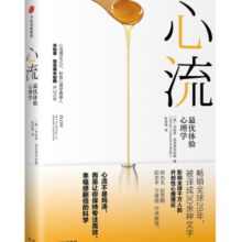 心流 最优体验心理学 心流理论之父 米哈里契克森米哈赖著 罗振宇推荐 中信出版社