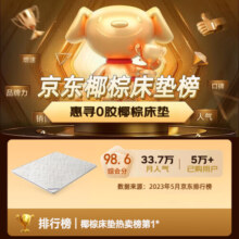 惠寻 京东自有品牌 椰棕床垫硬棕垫薄床垫偏硬主卧床1.8米*2米10cm厚