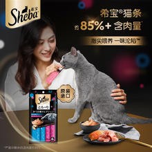 希宝 原装进口猫条成猫猫粮猫零食鲣鱼12g*4条软包猫罐头