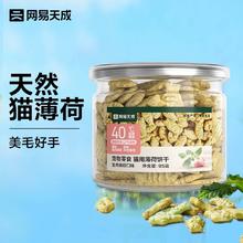网易天成 猫薄荷饼干宠物幼猫成猫猫咪零食饼干兔肉磷虾味 95克 猫薄荷饼干 95g 1罐 兔肉磷虾味