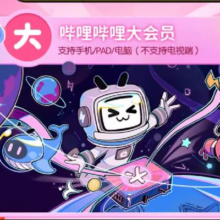 Bilibili 哔哩哔哩 大会员年卡 B站会员12个月年卡 三端通用