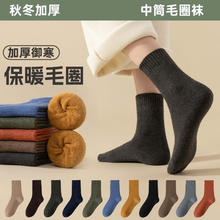 毛圈袜子 5双装