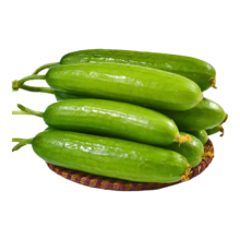 plus会员:京地达山东水果小黄瓜 新鲜蔬菜 现摘 净重5斤 源头直发包邮
