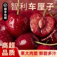 智利进口车厘子5斤装进口原箱顺丰京东包邮多汁时令新鲜水果